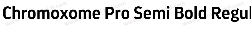 Chromoxome Pro Semi Bold Regular字体转换